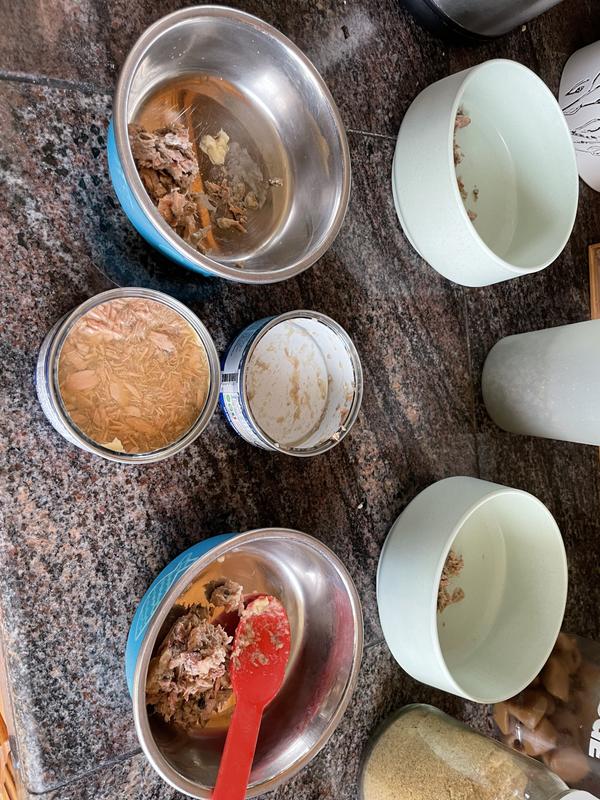 Farmina Natural & Delicious Ocean Sea Bass, Sardine & Shrimp Canned Cat Food