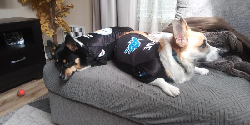 LITTLEARTH NFL Personalized Stretch Dog & Cat Jersey, Cincinnati Bengals,  Small 