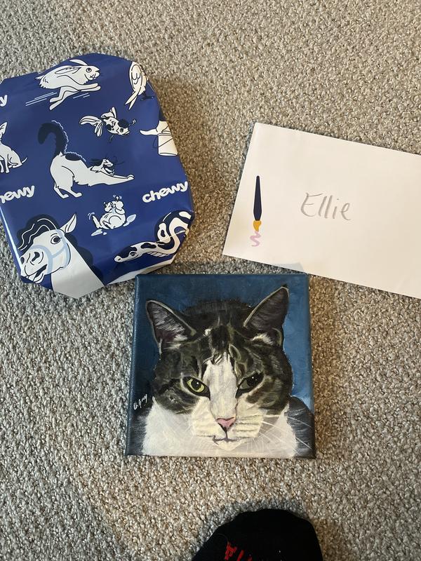 Our surprise gift from Chewy!