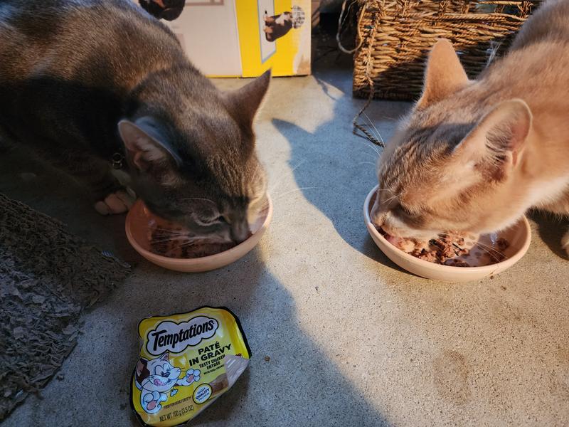 Hissy and Kevin