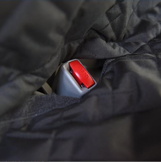 Seat Belt