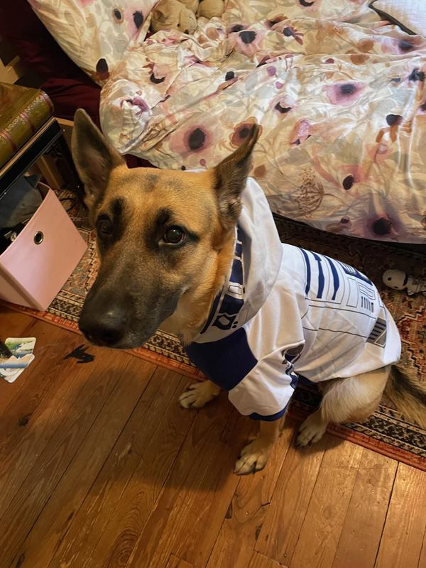 Princess Leia incognito :)