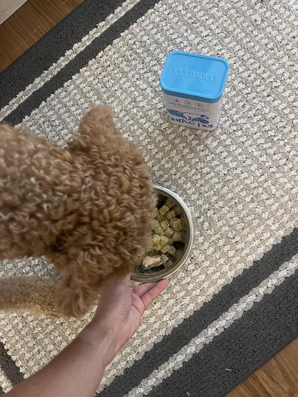 He goes for the bowl before I can even let go of it! 😅