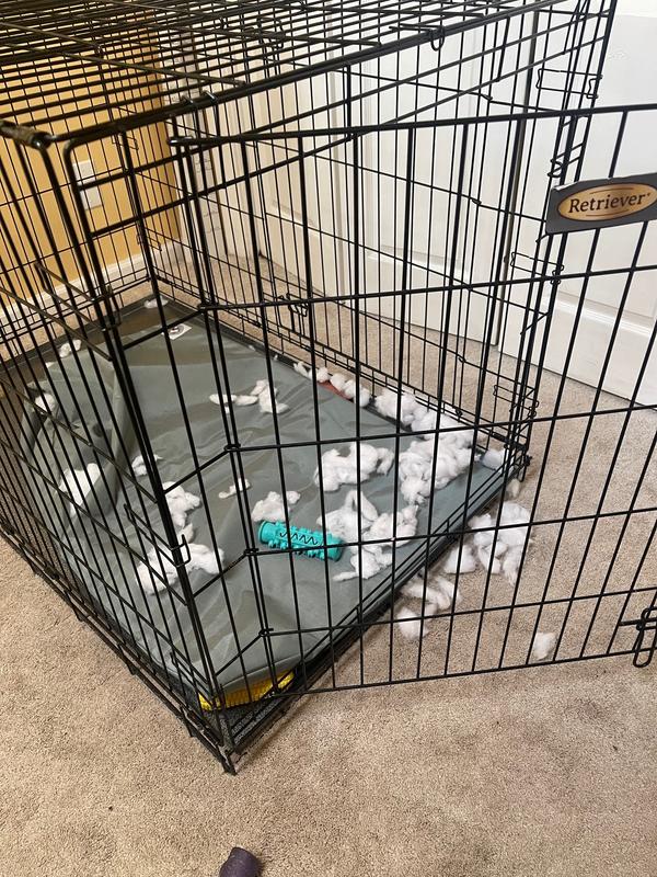 Carolina Dog Bed not chew resistant