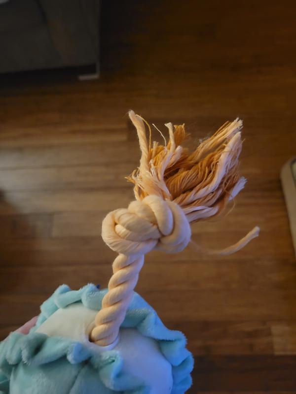 Rope does fray after some chewing.