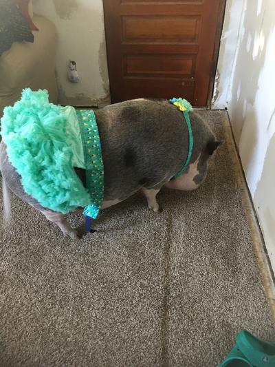 I wear pretty clothes