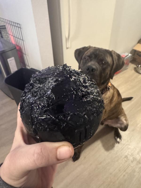 Chewed to literal bits