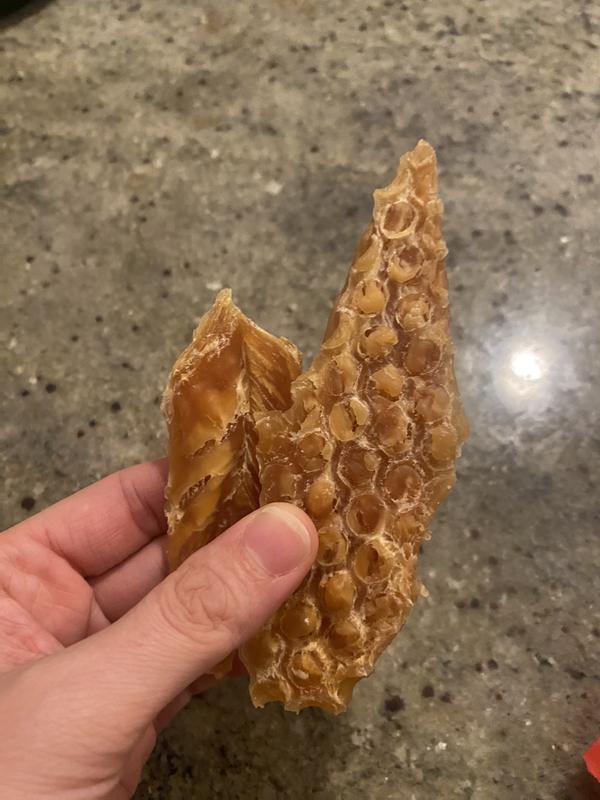 Actual piece of jerky