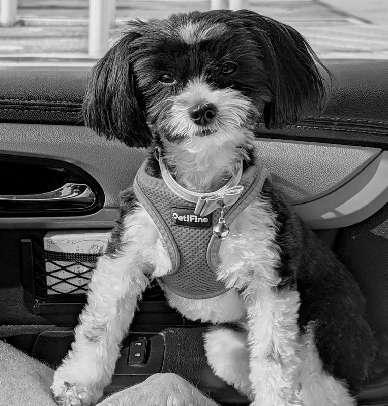 Ellie Mae