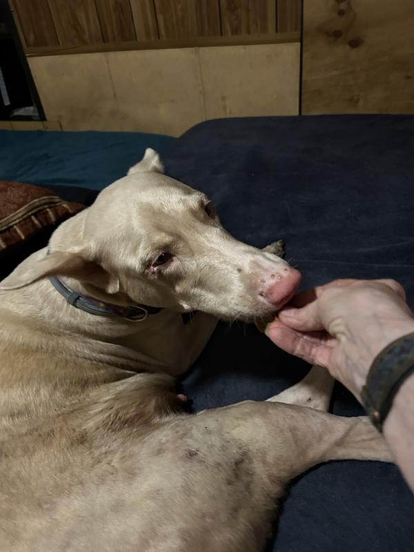 Jasmine Says I will take that.