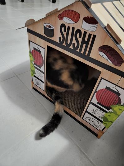 Sushi Cat Toy  Humboldt House