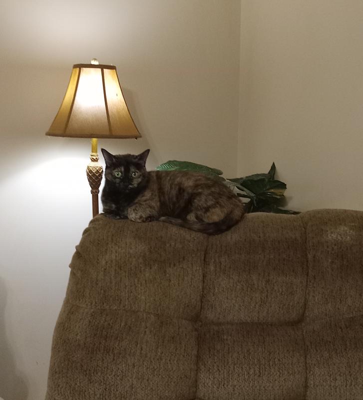 Resting are playing with my favorite toys