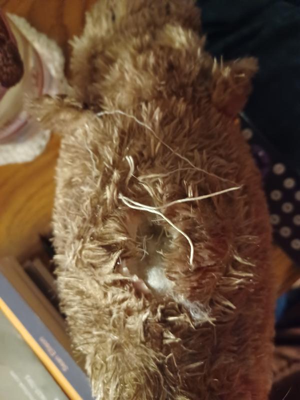 Hole made in back seam.