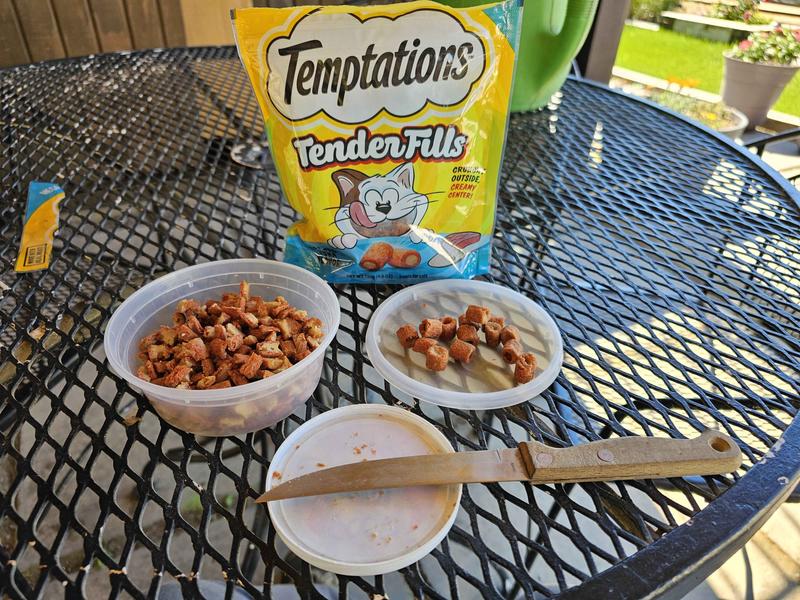 TEMPTATIONS Tender Fills Grilled Salmon Flavor Soft & Crunchy Cat ...