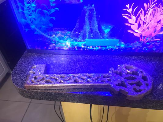 My Fishtank stays clean