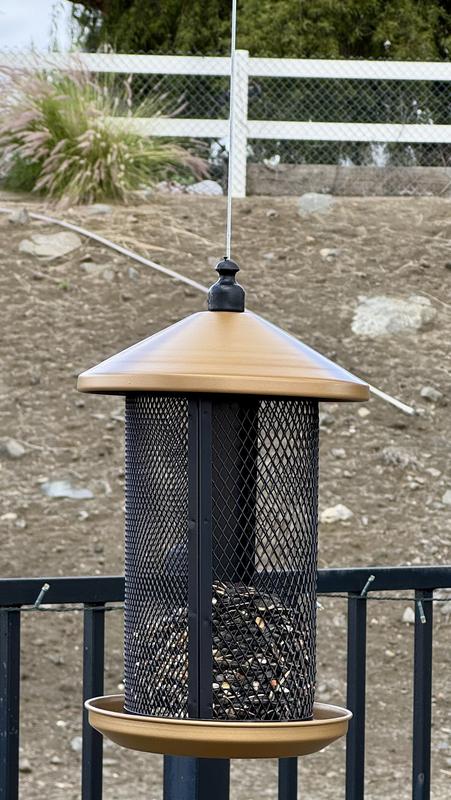 Filled bird feeder outdoors.