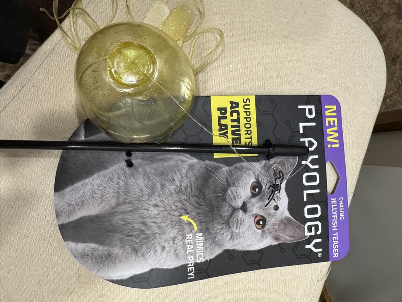 Playology Snake & Fish Teaser Cat Toy