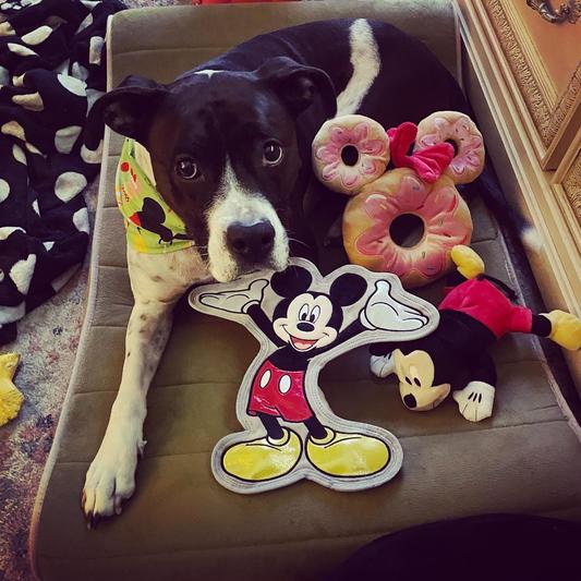 GOODY BOX Disney Mickey Mouse & Minnie Mouse Dog Box, Medium/Large