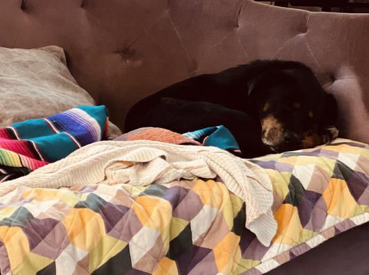 Mom stole this quilt from me!