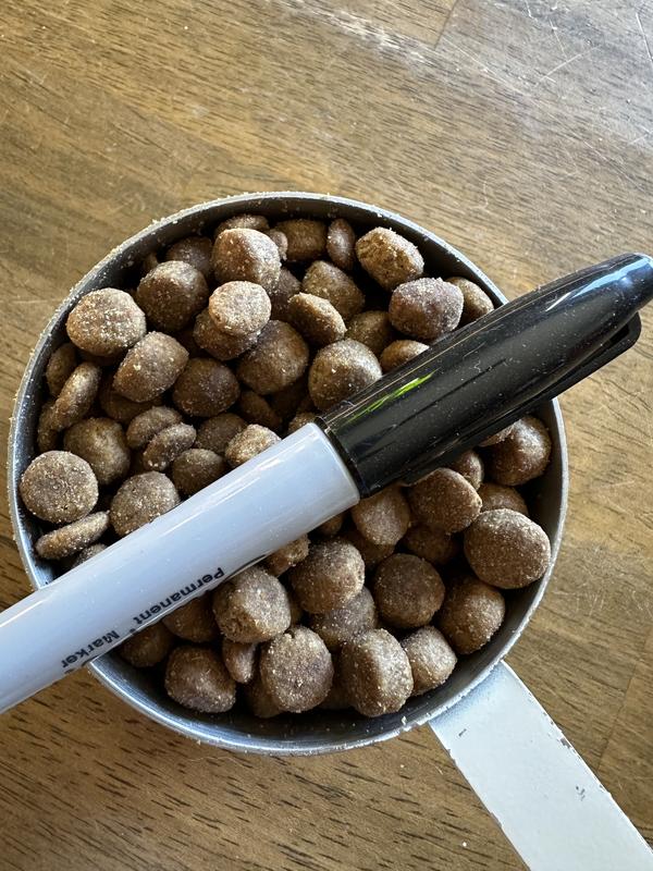 Regular size sharpie for reference