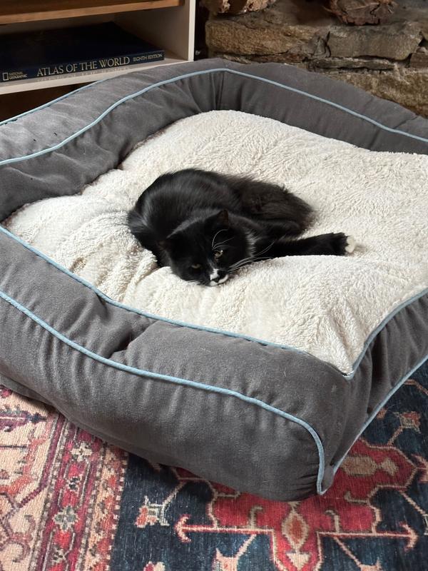 For XXL bed size reference: 8 lb cat (uh...)