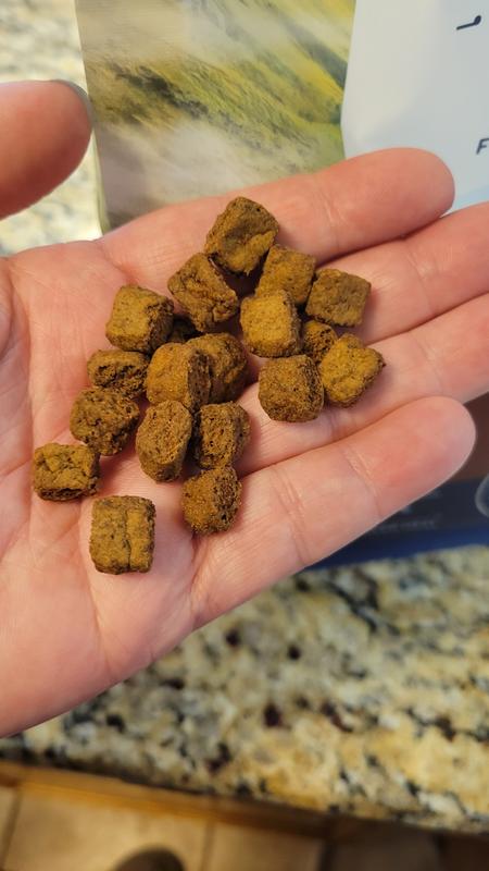 Look at these bites