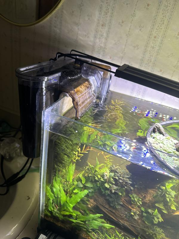 It worked great for a while, I clean it regularly, but now it sounds awful