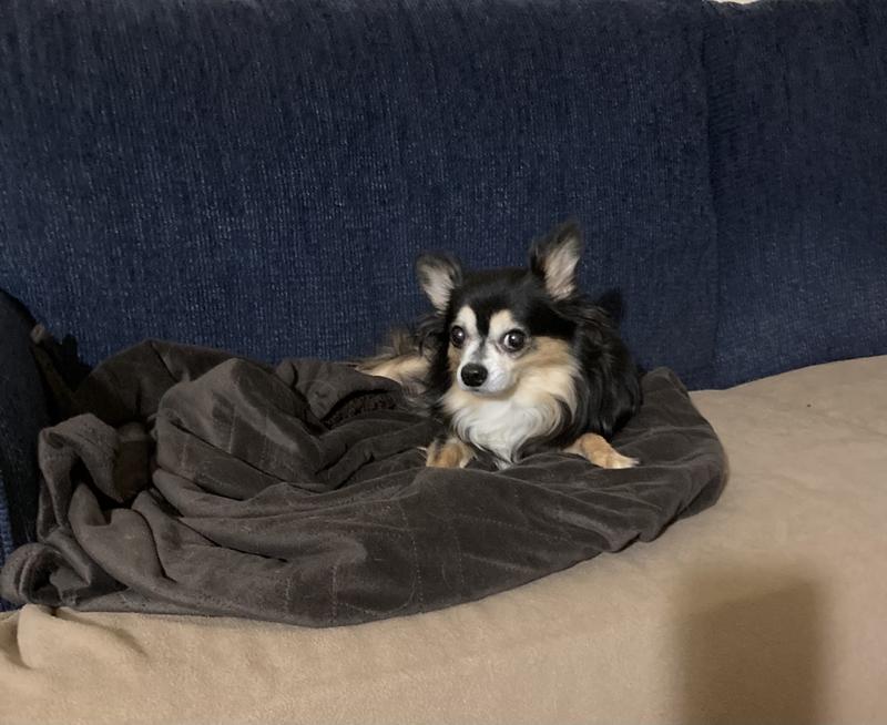 This is my baby Bella Rose