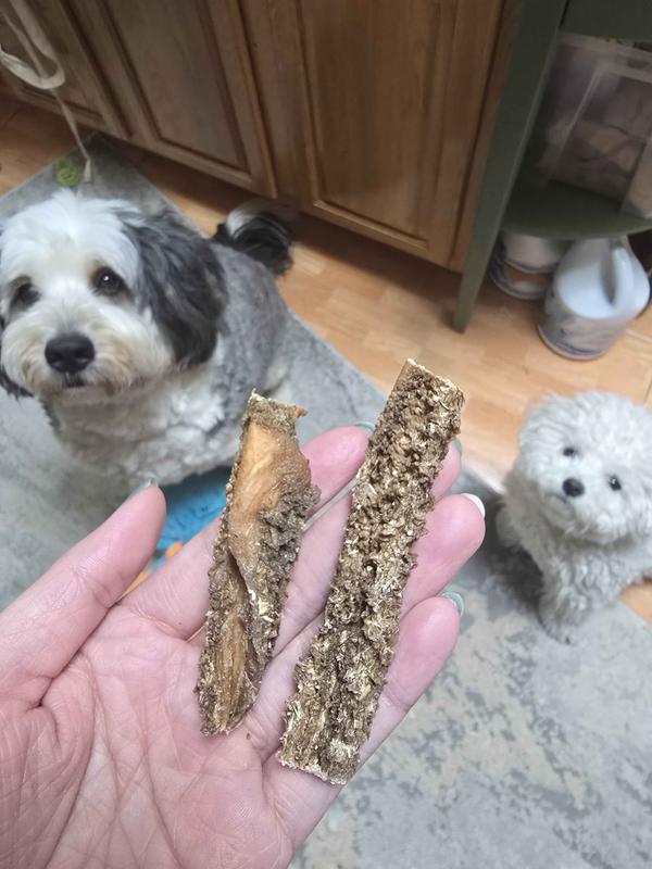 Sticks can be cut, but a little difficult with scissors