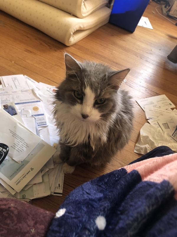 Mr. Bootsie