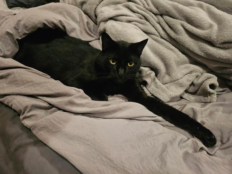 He's a chunky boy who likes his "cookies" lol