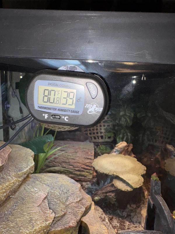 ZOO MED Digital Combo Reptile Terrarium Thermometer Humidity Gauge
