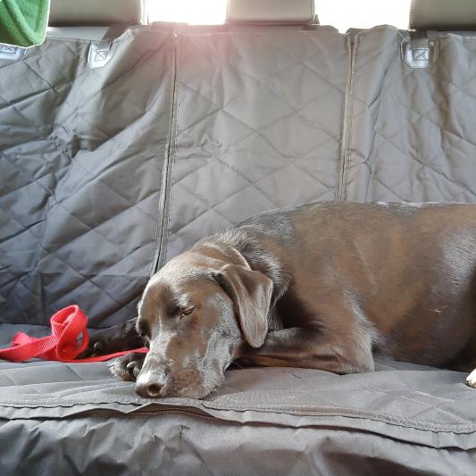 Cover meets approval.