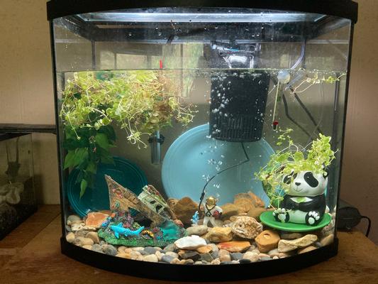 PENN-PLAX Action Air Diver with Hose Aerating Aquarium