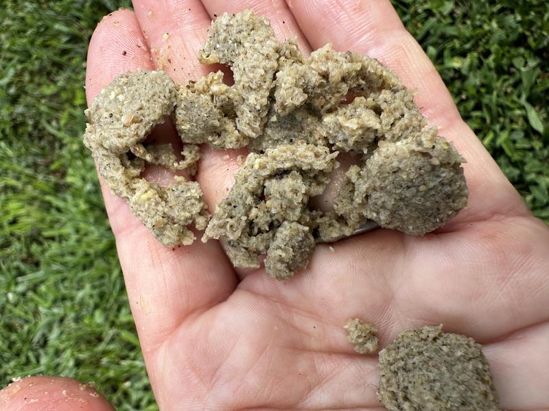 What it’s like soaked 10min in hot water