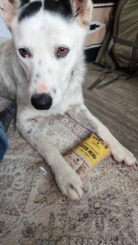 Hurry and open the package, please!