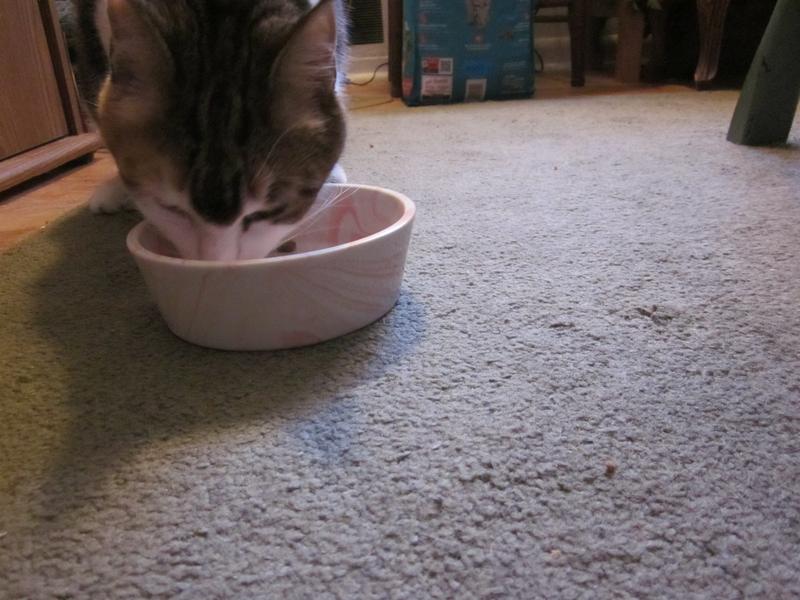 Good for dry food I guess but that's not what I needed them for