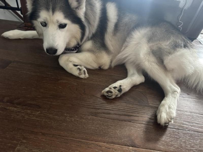 UM... NO. Stay away from me with that!!!