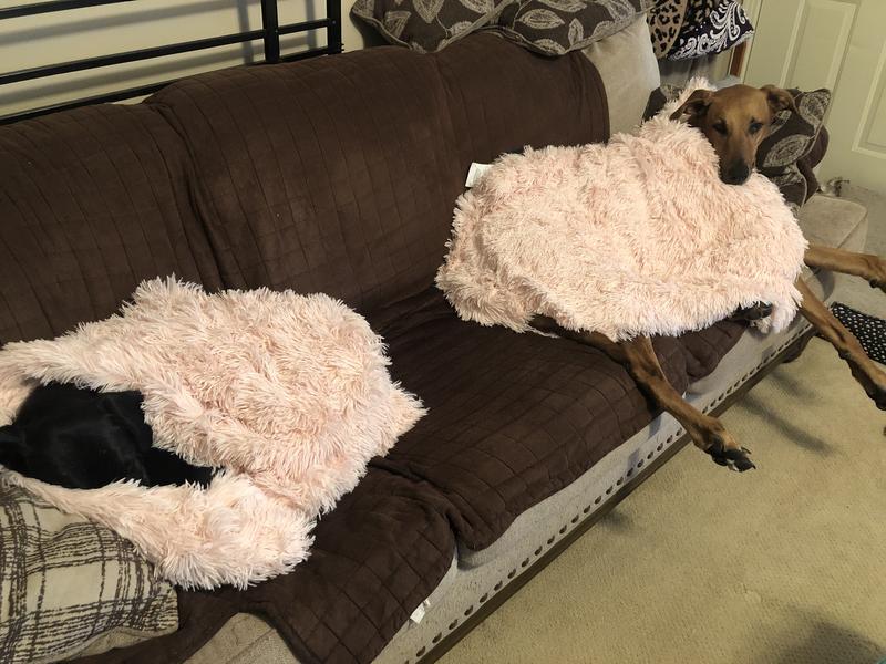 Het originele Kalmerende donut Kat- en Hondenbed in Shag Fur - Taupe - Klein 23x23 met