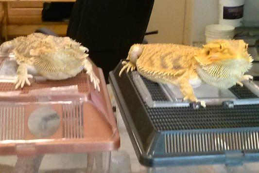 Ray-Ray and friend getting their nails done
