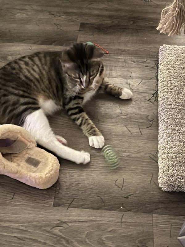 He would not let anyone take his new toy!