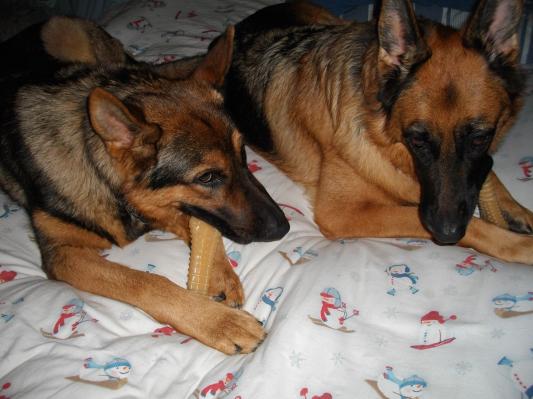 My kids with one of their favorite toys!