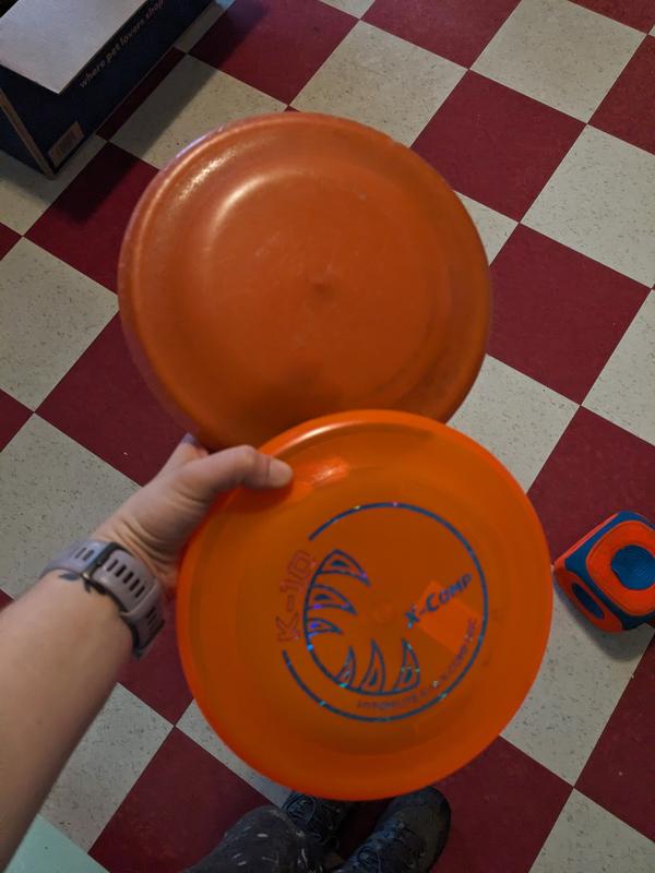 September 2023 frisbee vs January 2024