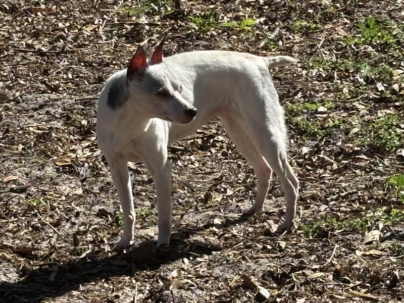 a 16 year old AHT making it one more day