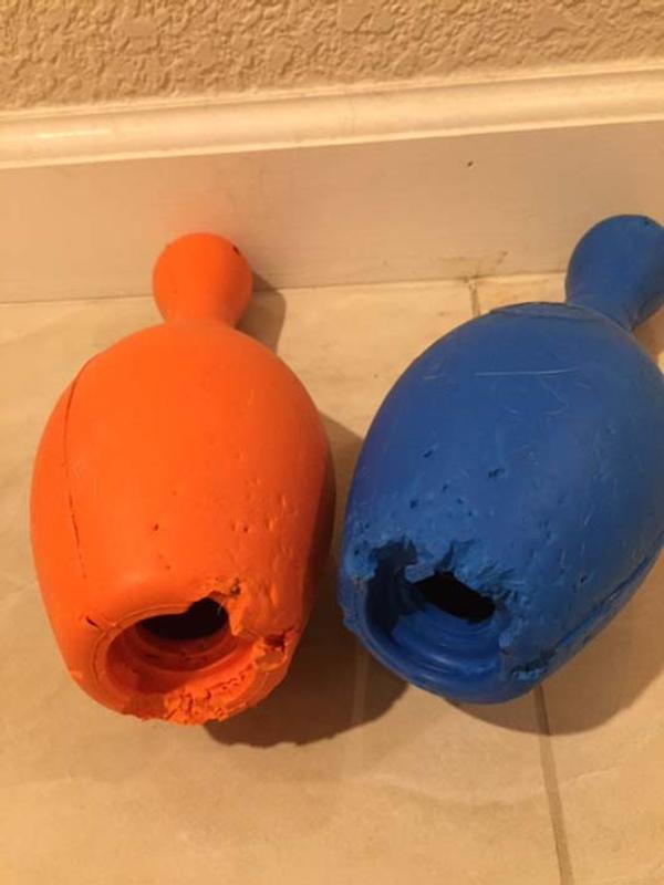 JW PET iSqueak Bouncin' Bowlin' Pin Dog Toy, Color Varies, Large