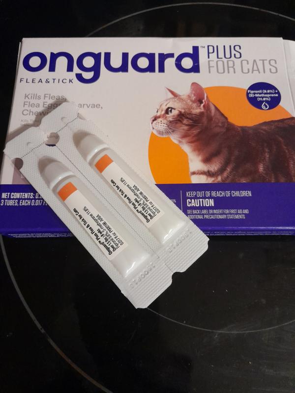 Onguard flea and shop tick for cats