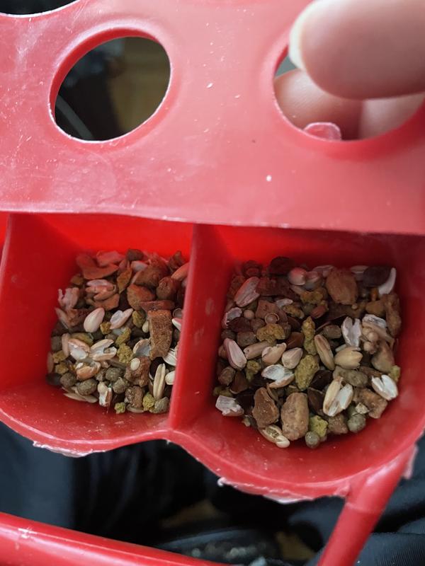 The seeds that my birds are not eating, they do not like them.