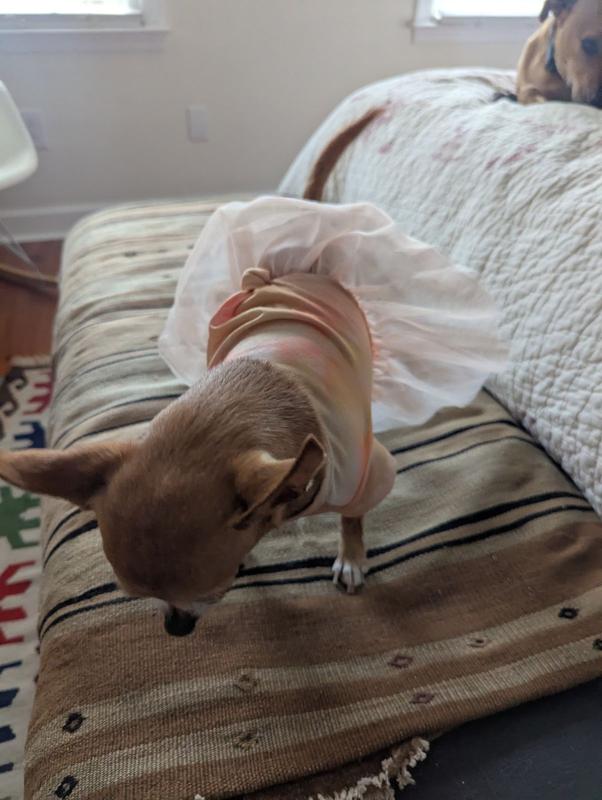 Makes her feel very beautiful !