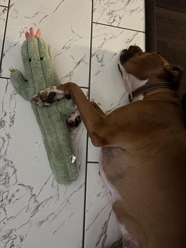 Sleeping with her cactus after playing for hours