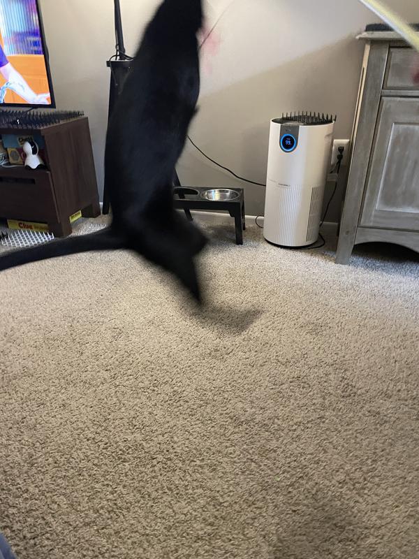 Big jumps!